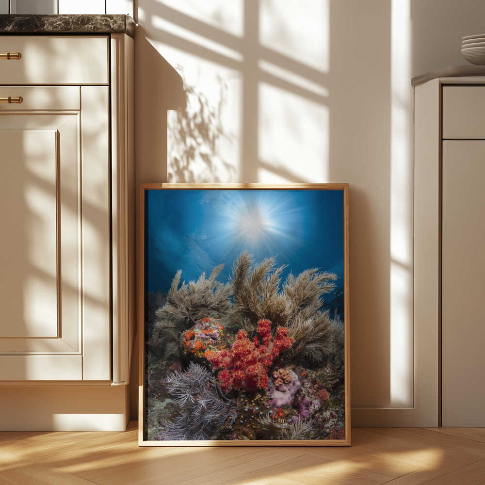 Underwater life Poster