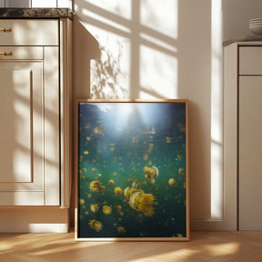 Lenmakana Jellyfish Poster