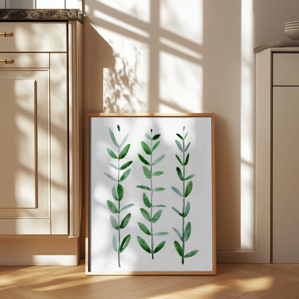 Watercolor eucalyptus parvifolia Poster