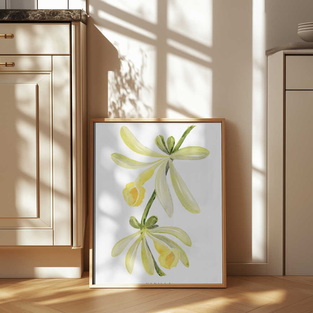 Watercolor vanilla orchid Poster