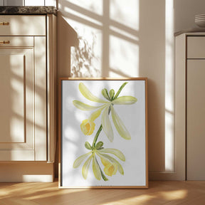Watercolor vanilla orchid Poster