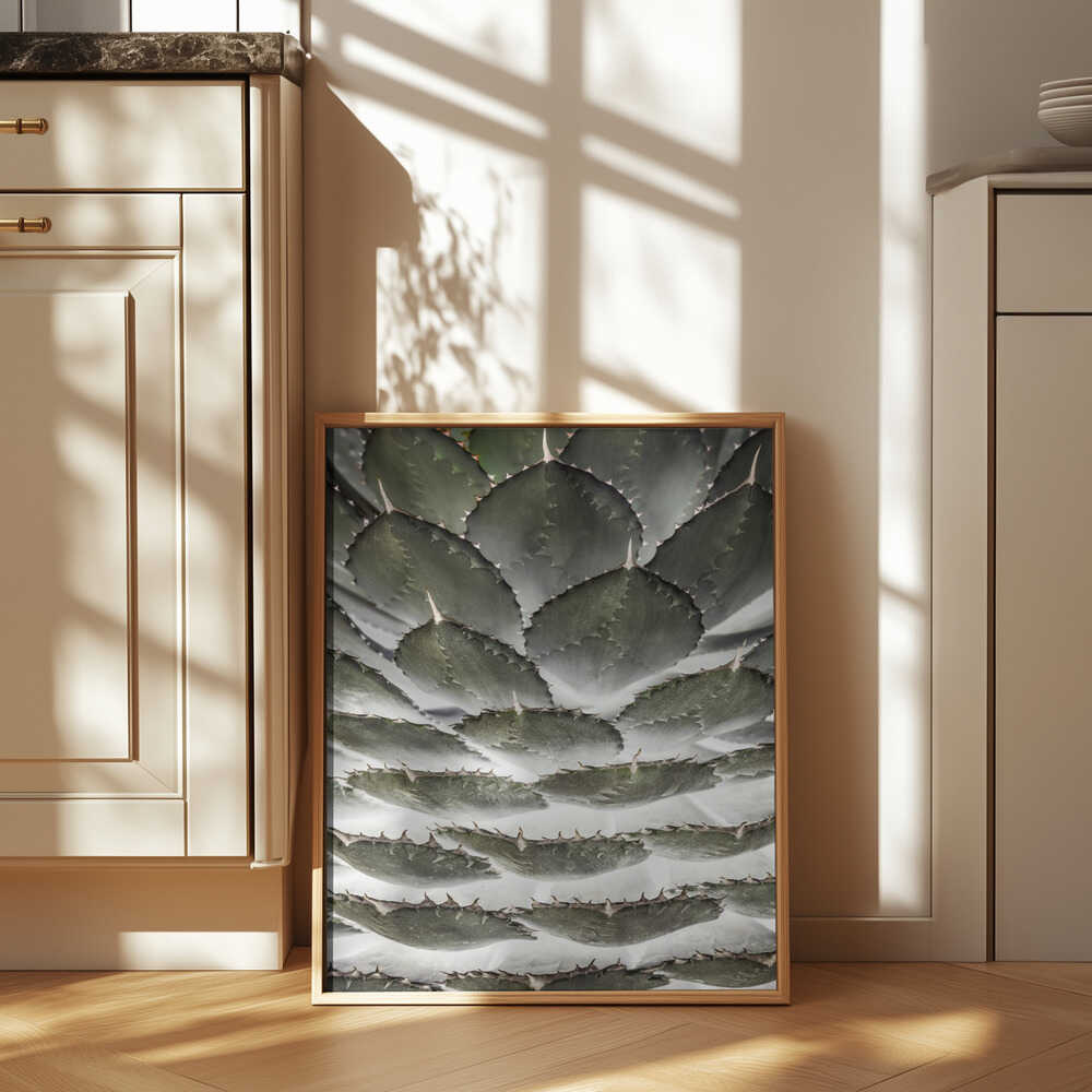 Spiral Succulent Poster