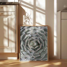 Spiral Succulent Maze Poster