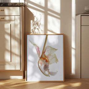 Petal Symphony Poster