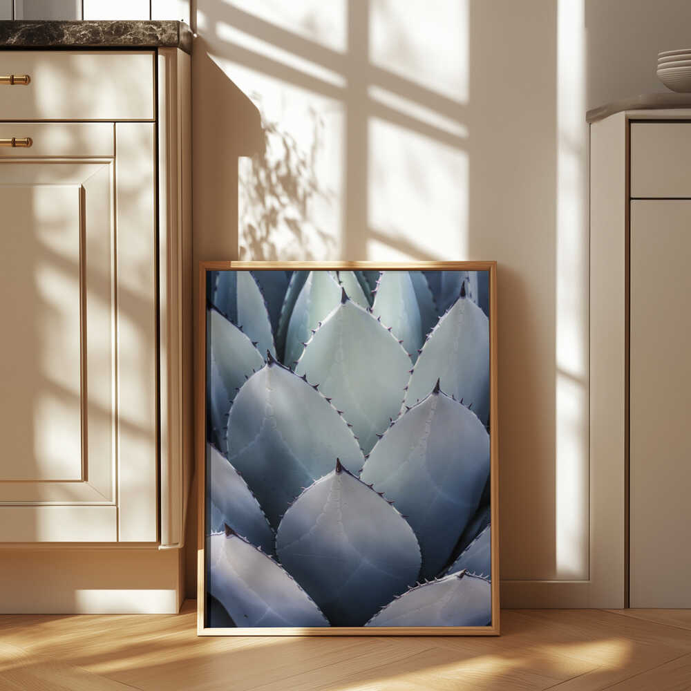 Agave Geometry Poster
