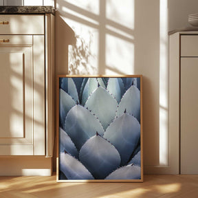 Agave Geometry Poster