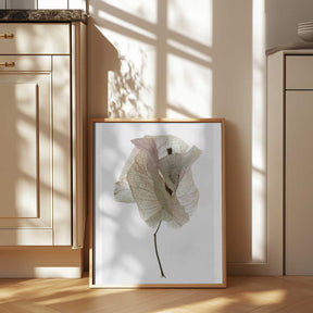 Petal Whisper Poster