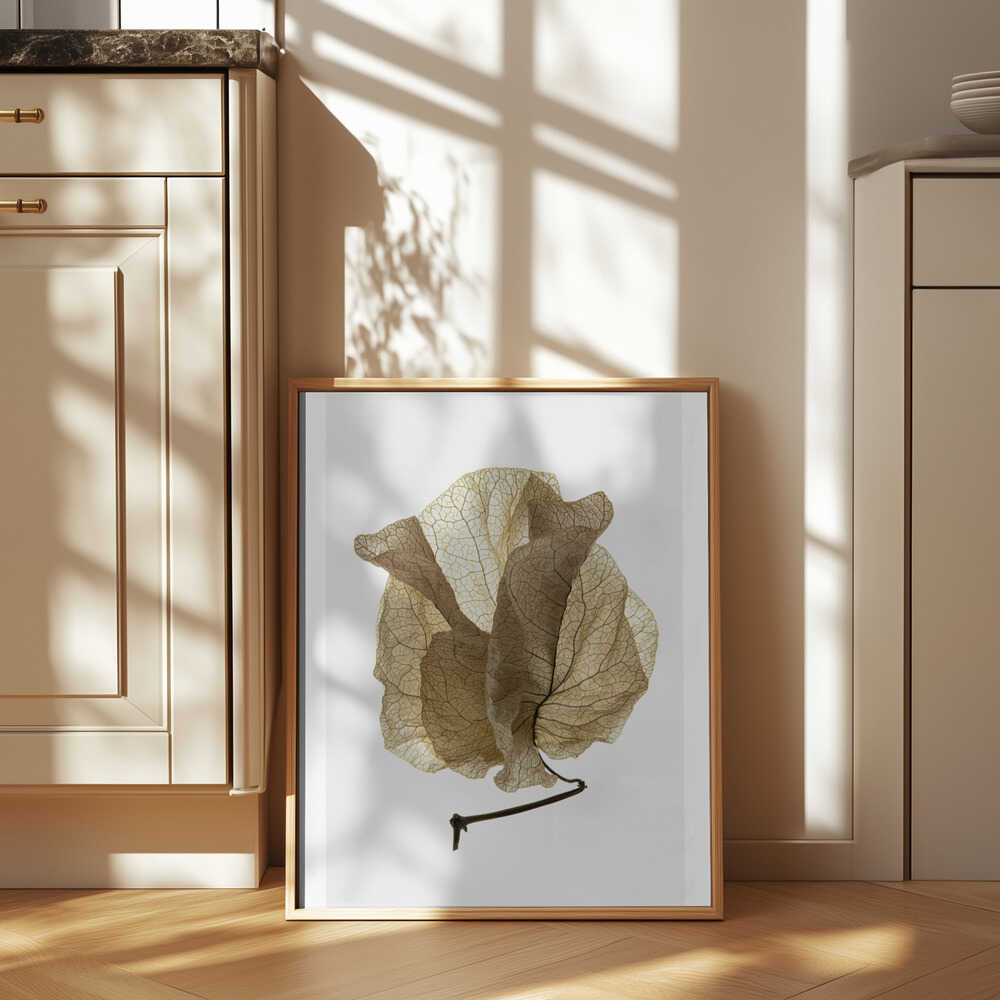 Whispering Petals Poster