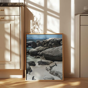 Penguin Cove Serenity Poster