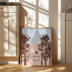 Palm Shadows Poster