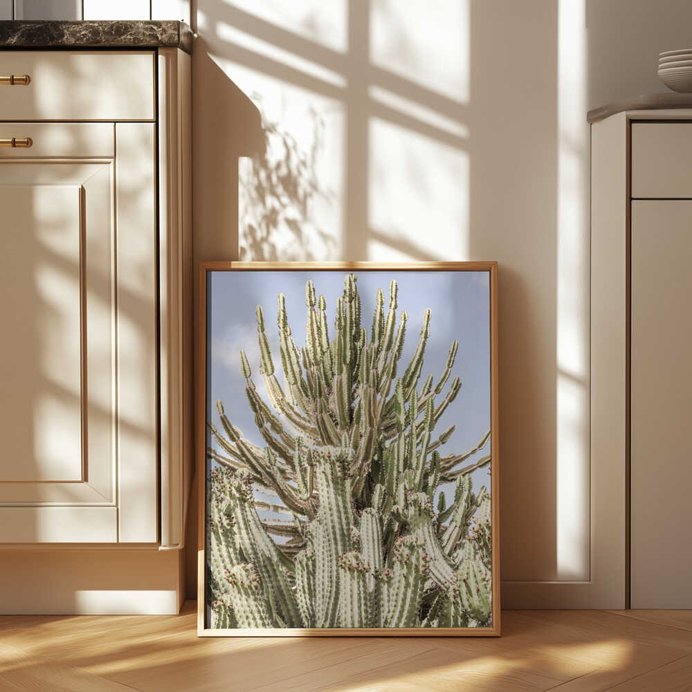 Cactus Symphony Poster