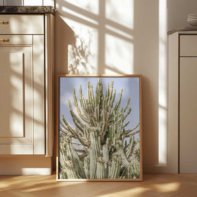 Cactus Symphony Poster