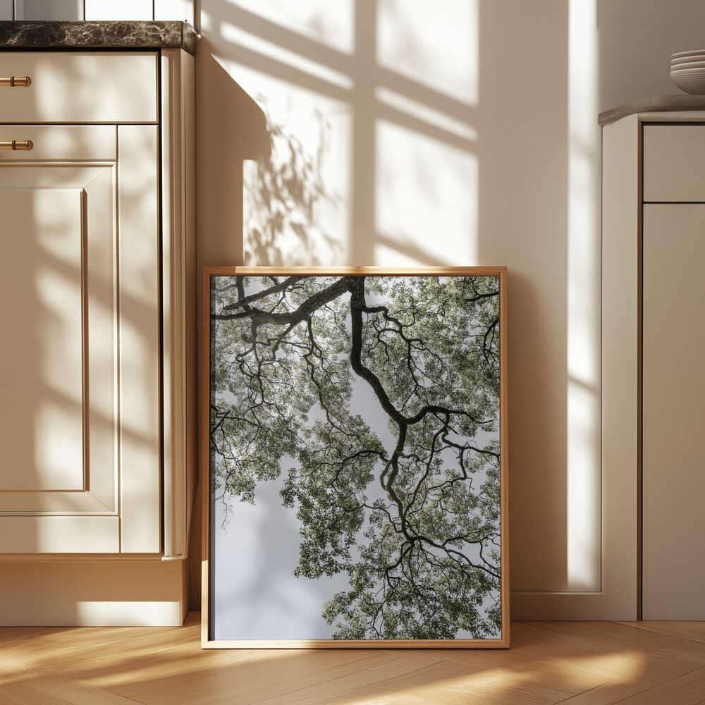 Ethereal Canopy Poster