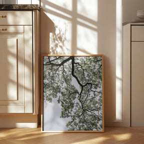 Ethereal Canopy Poster