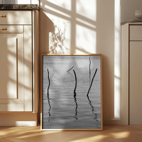 Silent Reflections Poster