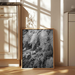 Black And White Photograph Poster