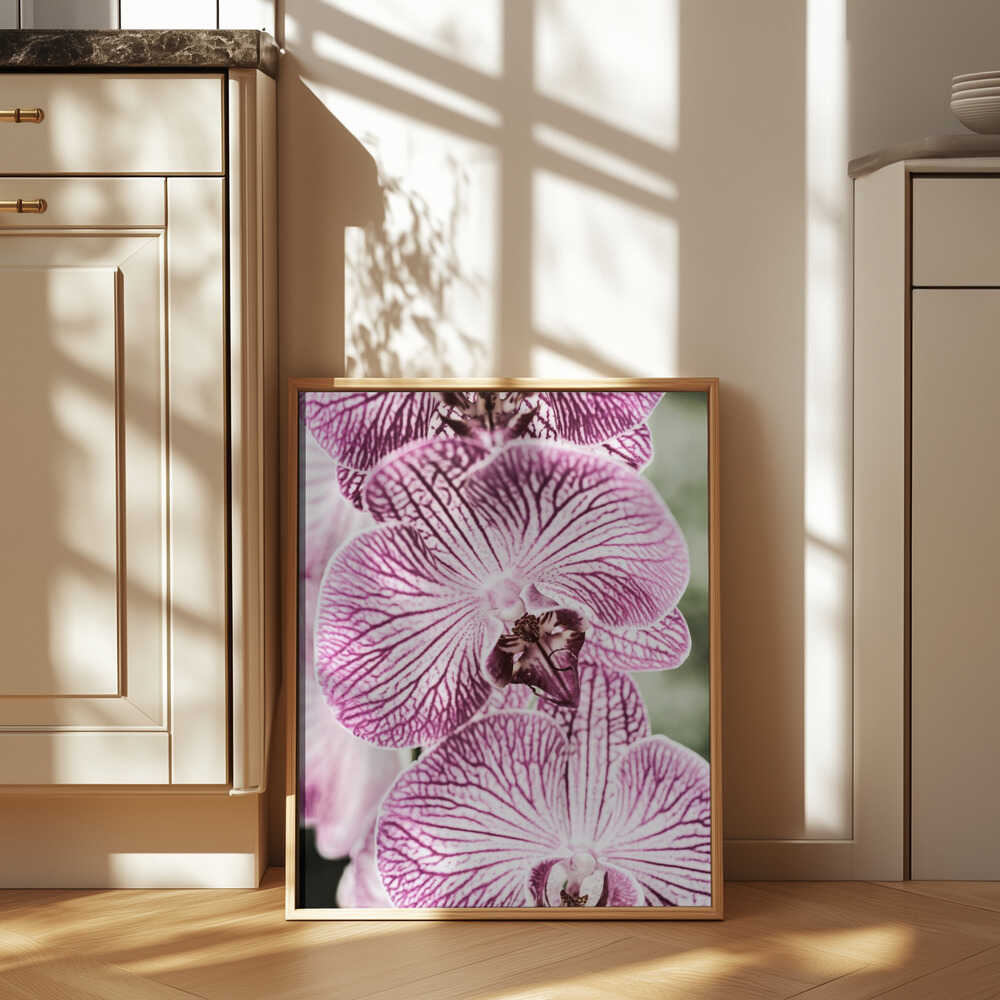 Tiger Blooms Poster