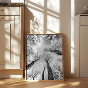 Reaching Branches Poster