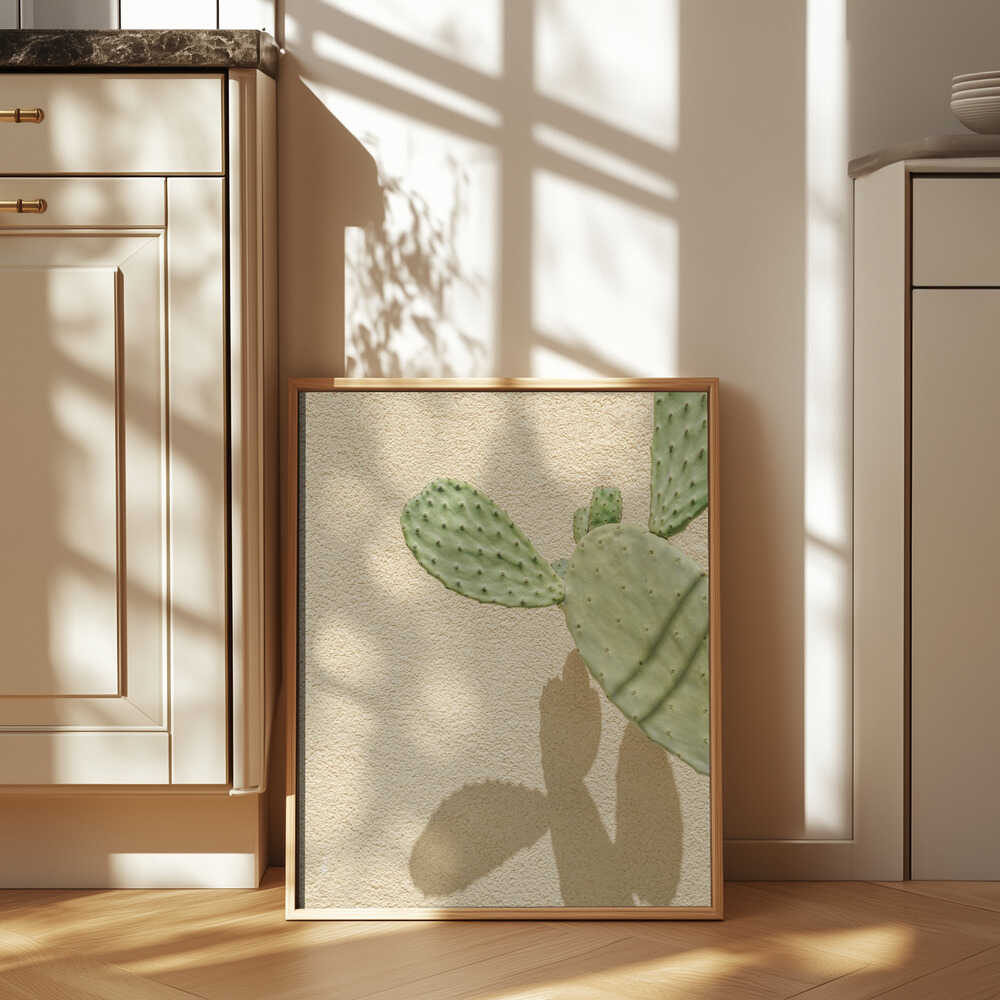 Cacti Shadowplay Poster