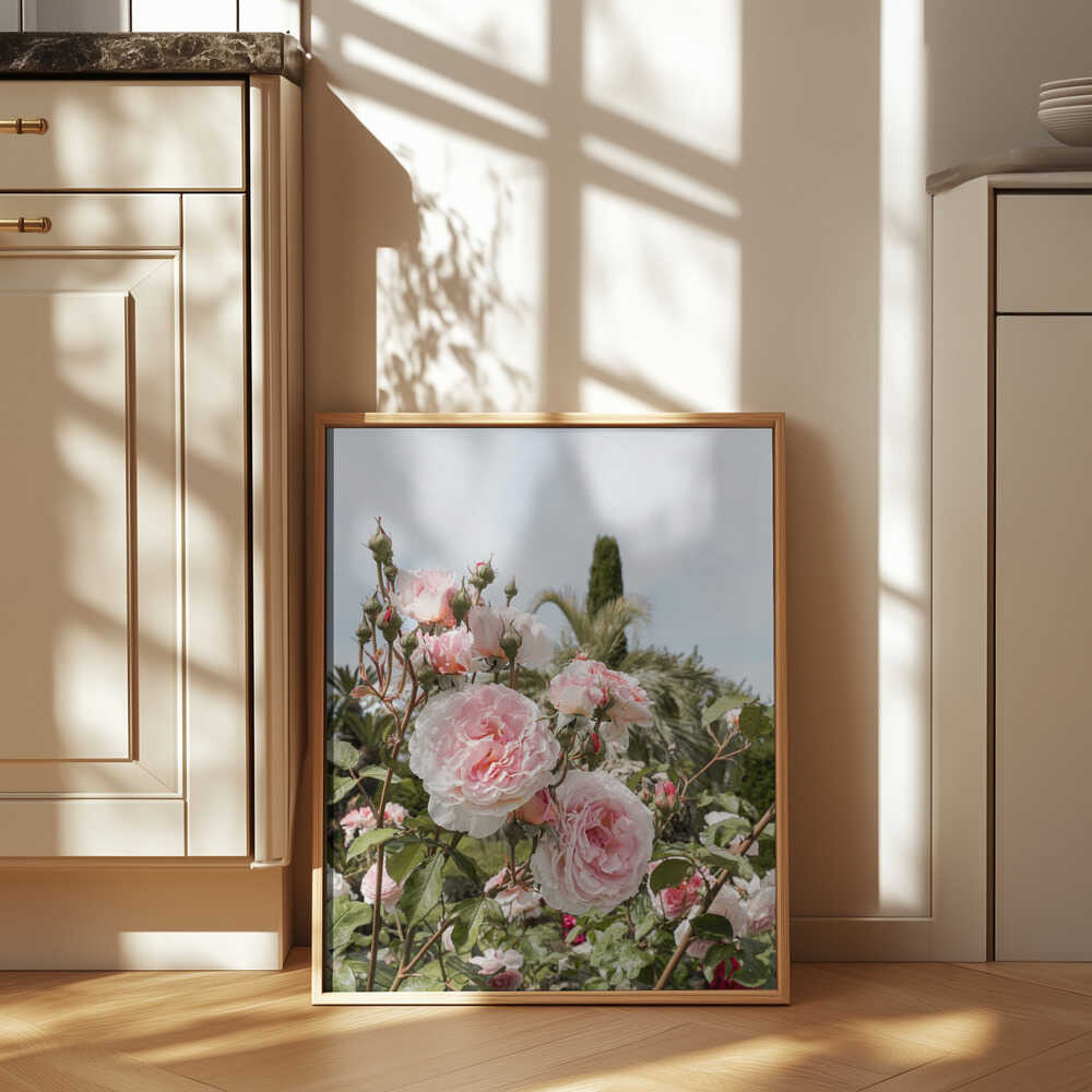 Garden Roses Poster