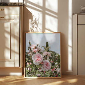 Garden Roses Poster