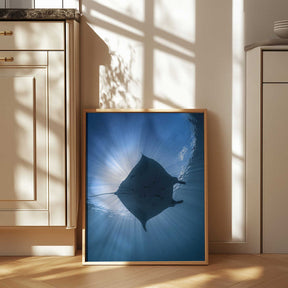 Manta Eclipse Poster
