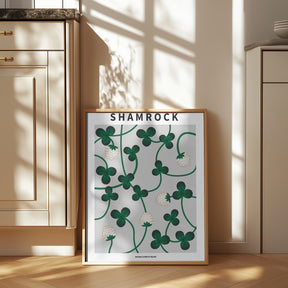 Shamrock - National flower of Ireland Poster