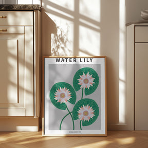 Water Lily - National flower of Iran Poster