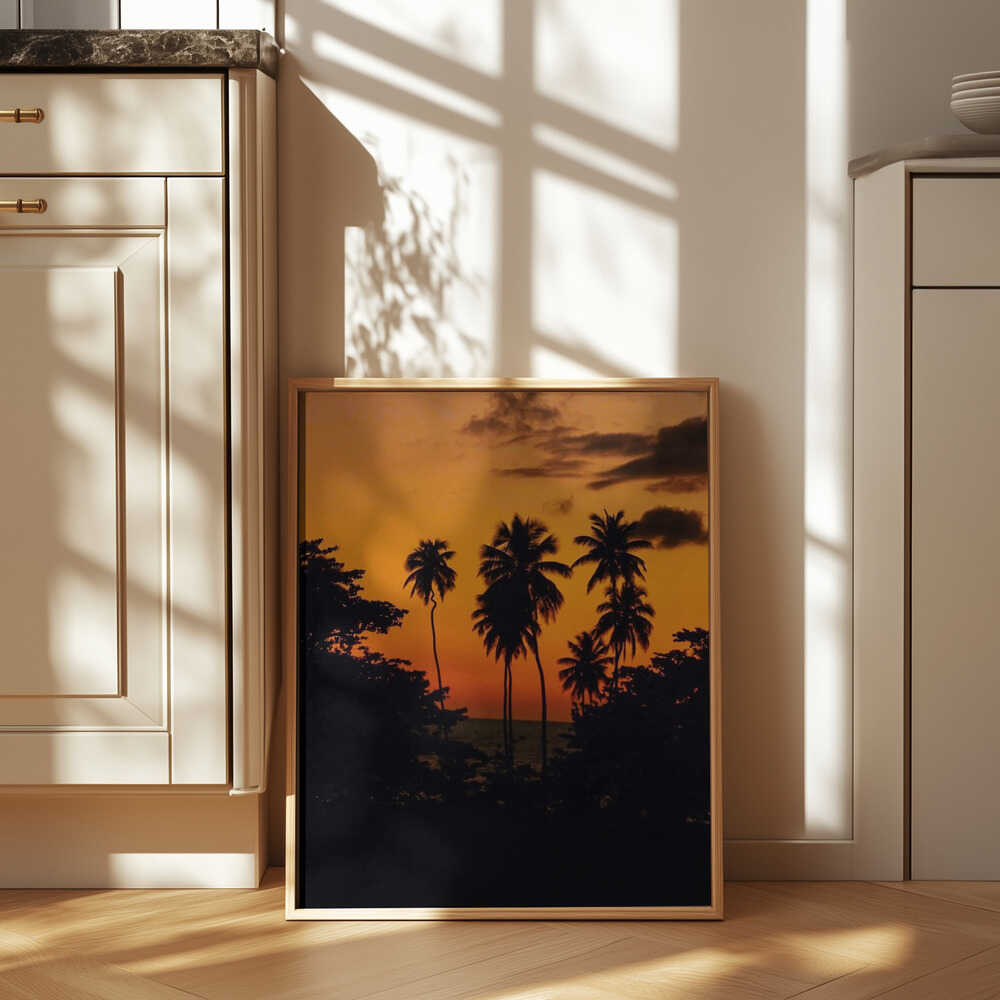 Squiggly Palm Sunset Poster