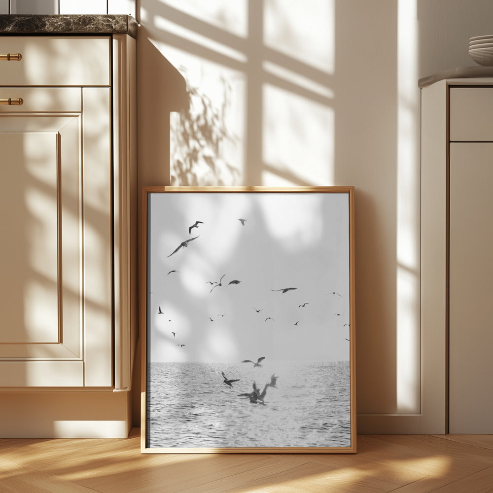 Seagulls At Sea Poster