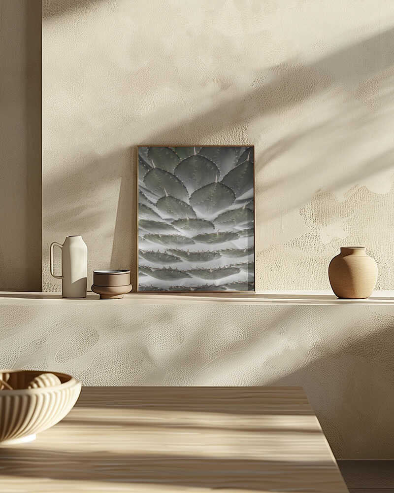 Spiral Succulent Poster