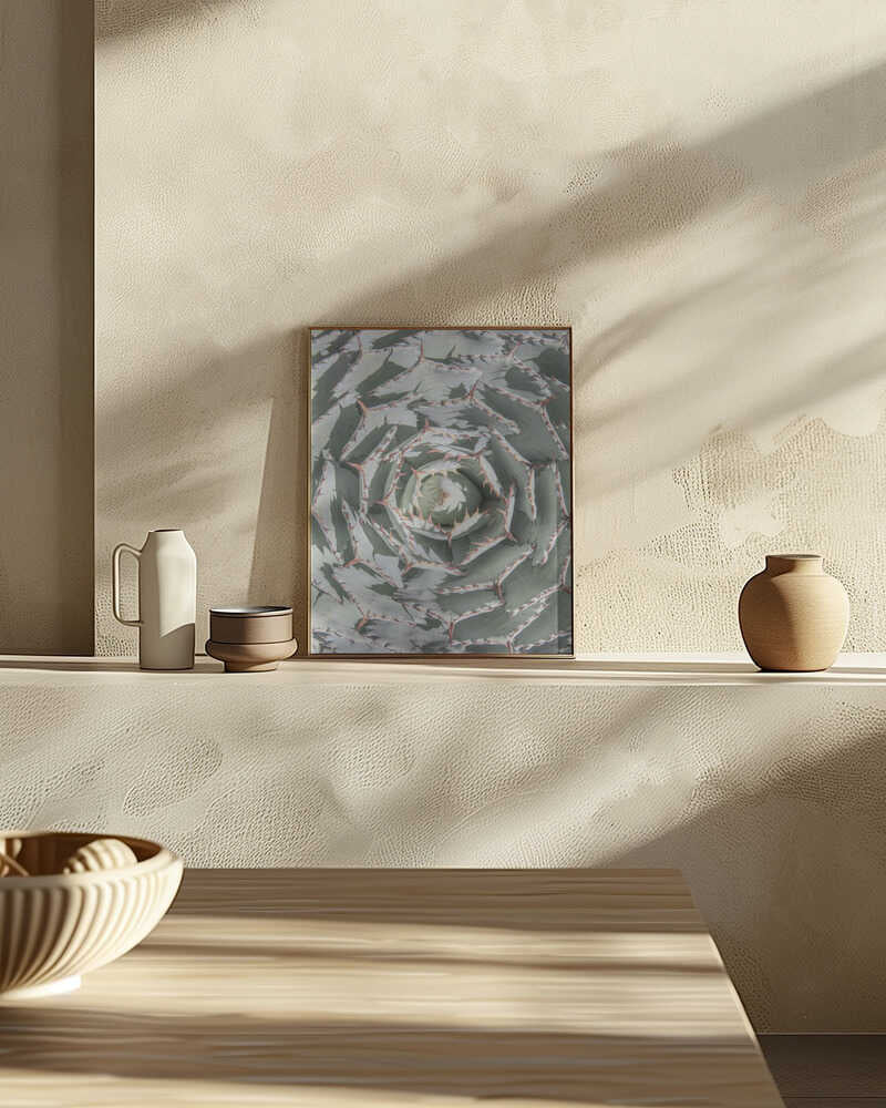 Spiral Succulent Maze Poster