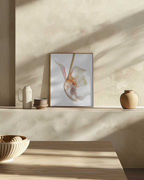Petal Symphony Poster