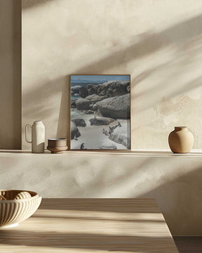 Penguin Cove Serenity Poster