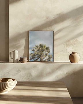 Sunlit Fronds Poster