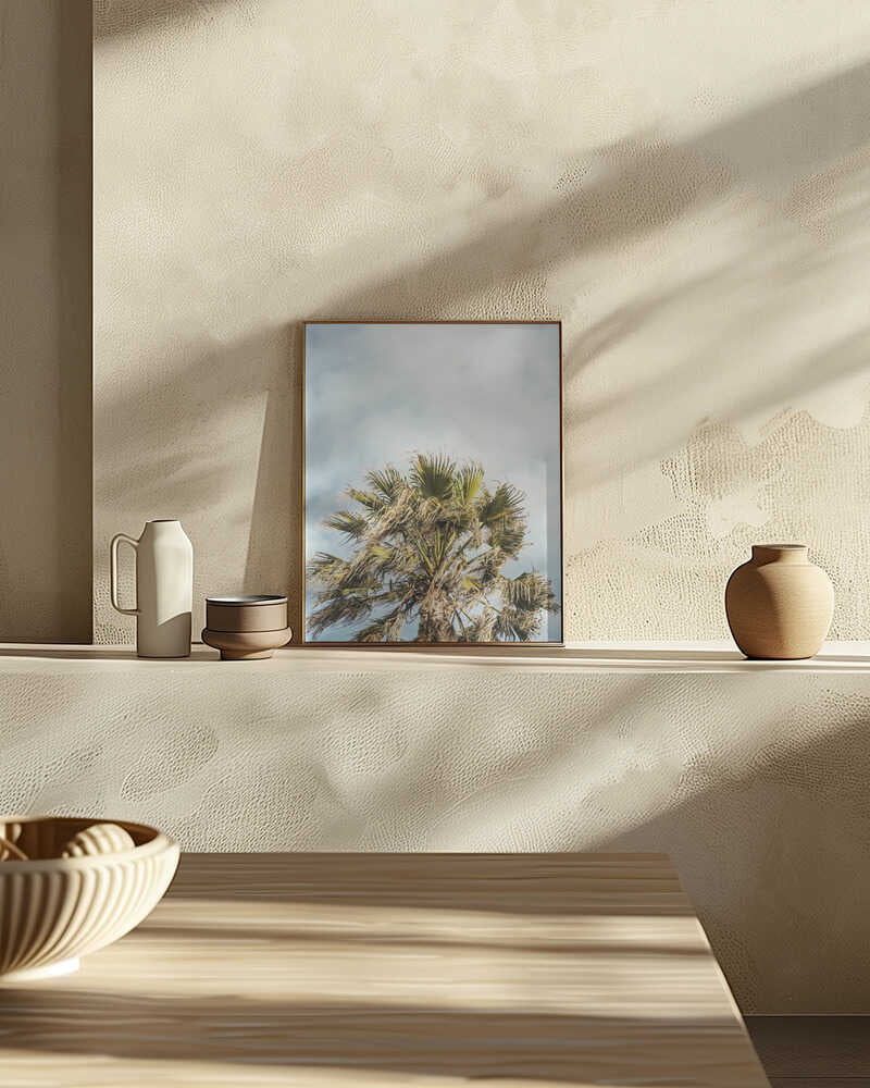 Sunlit Fronds Poster