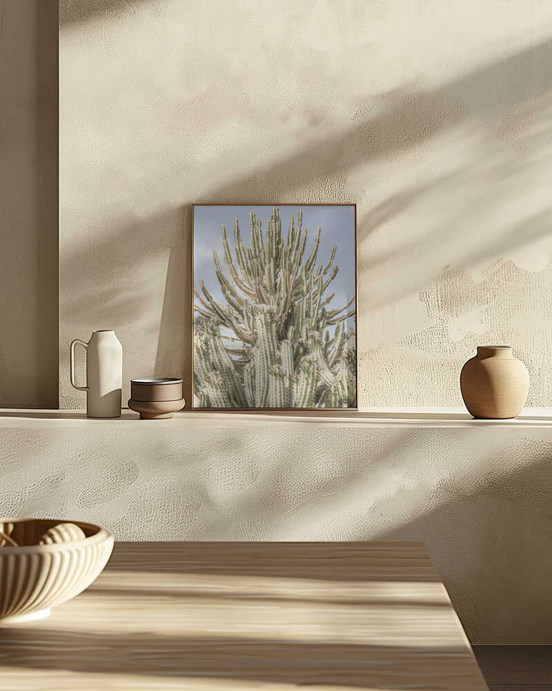 Cactus Symphony Poster