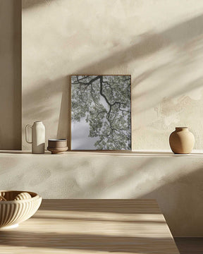 Ethereal Canopy Poster