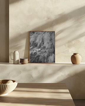 Black And White Photograph Poster