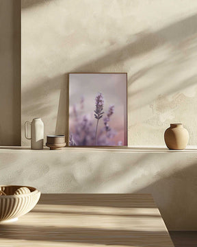 Lavender Serenity Poster