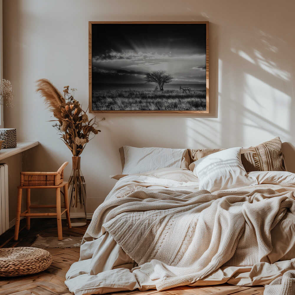 sunrise with hartebeest Poster