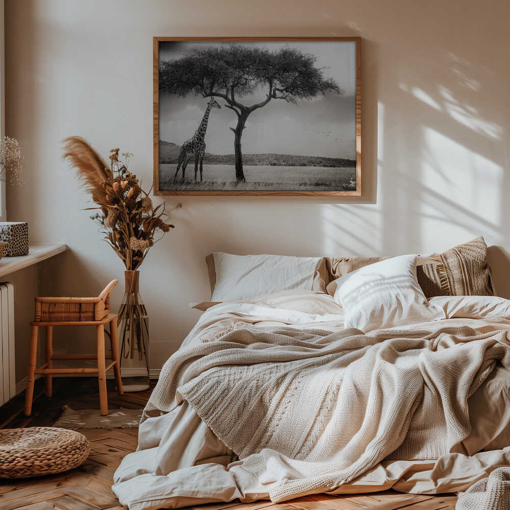 under the African sun Poster