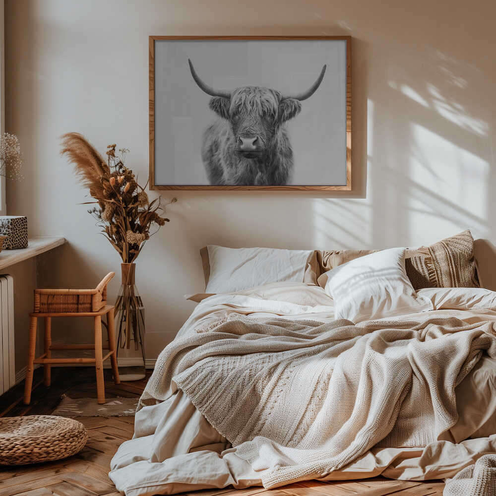 Highland Bull Poster