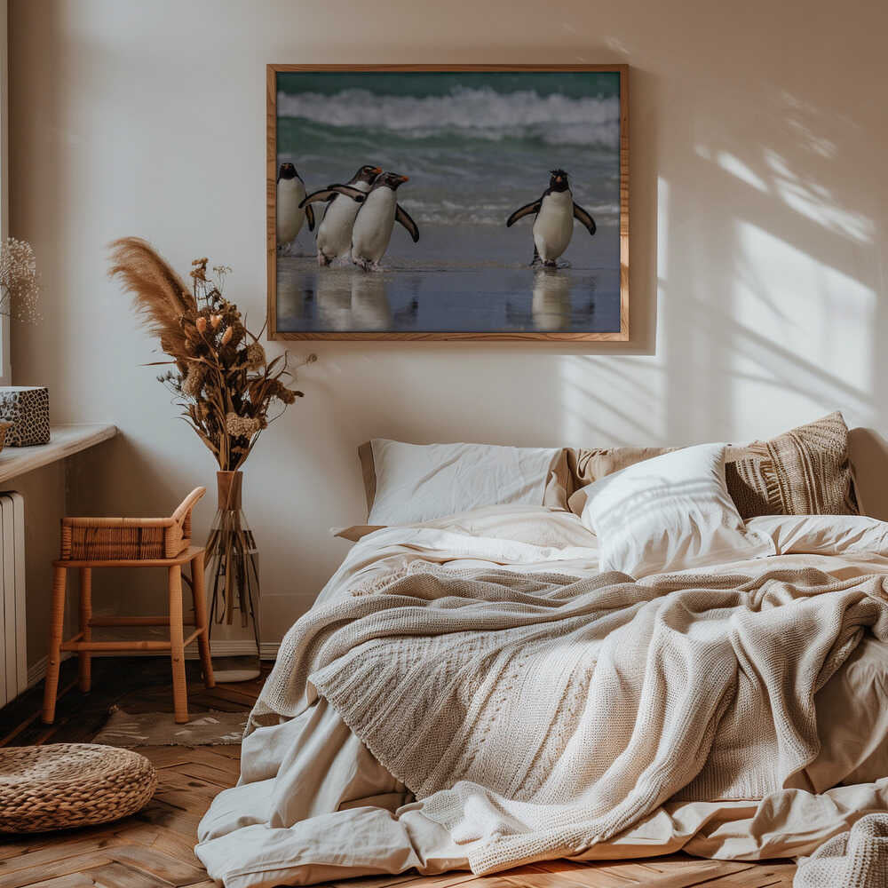 Rockhopper Pinguins just back from the Sea Poster