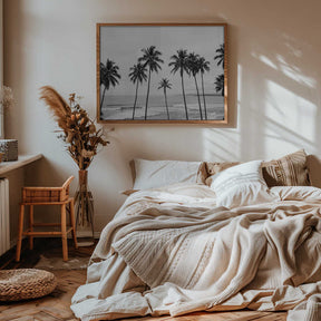 Palm Paradisebw Poster