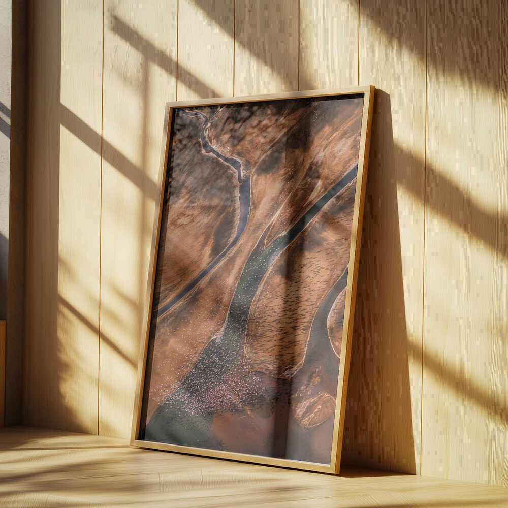Flying over Palette Poster