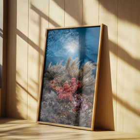 Underwater life Poster