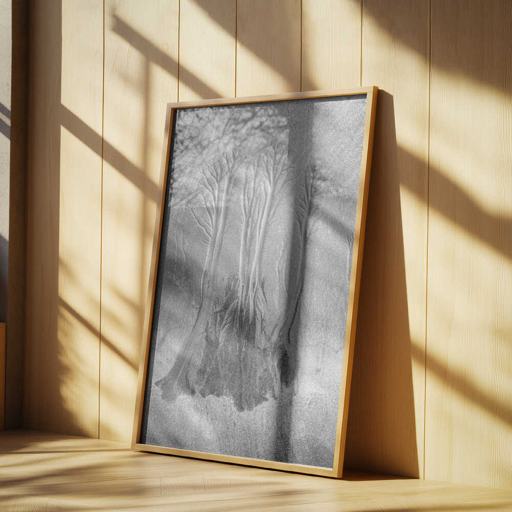 Mangrove… Poster