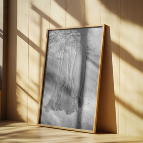Mangrove… Poster