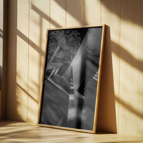 Rays Poster